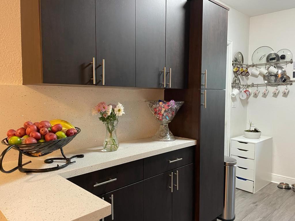 Brazilian Home Coral Gables Εξωτερικό φωτογραφία