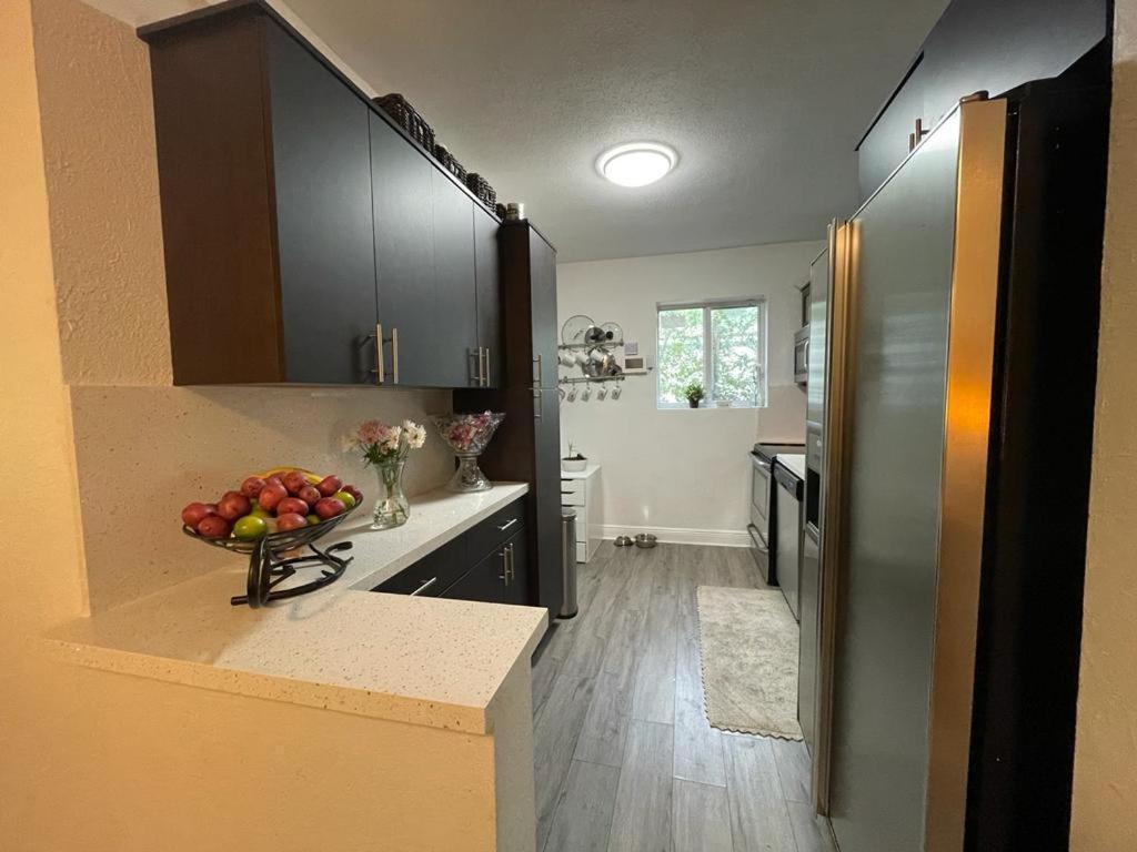 Brazilian Home Coral Gables Εξωτερικό φωτογραφία