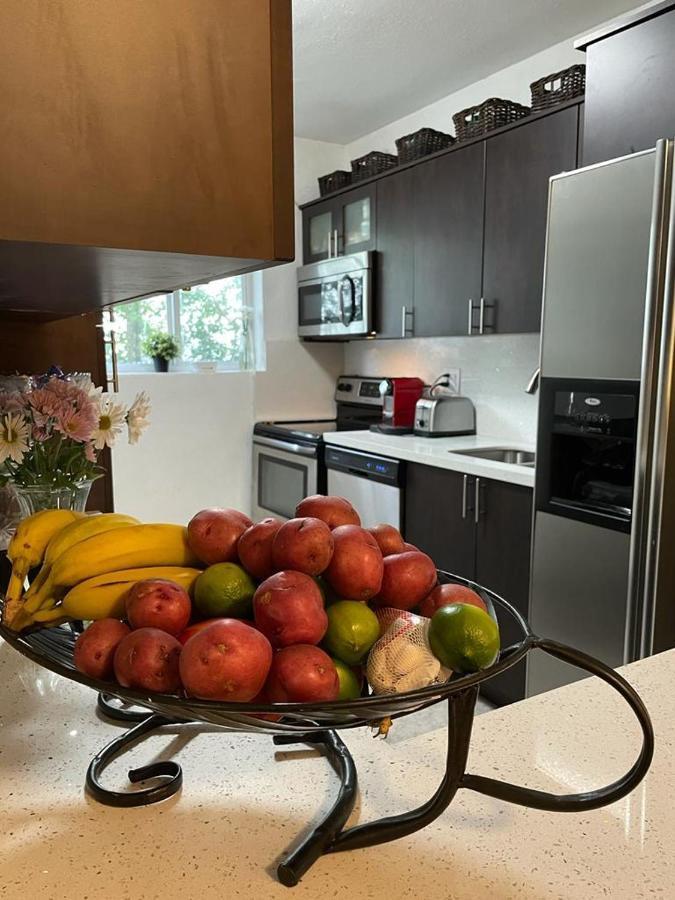 Brazilian Home Coral Gables Εξωτερικό φωτογραφία
