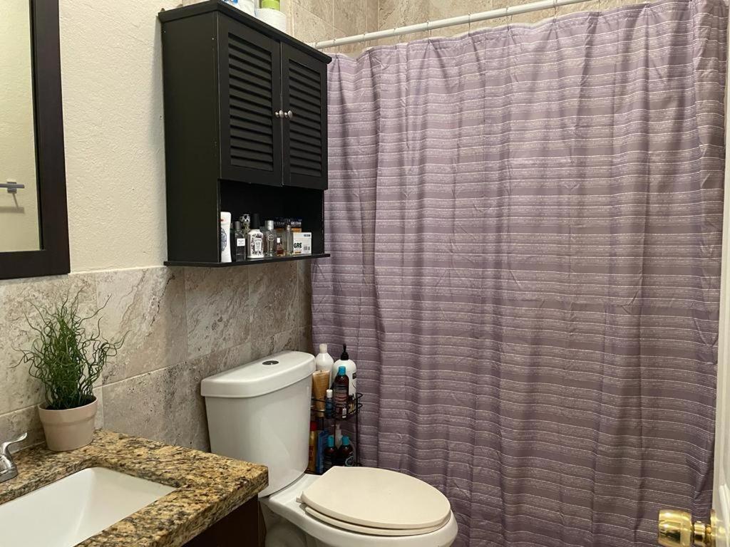 Brazilian Home Coral Gables Εξωτερικό φωτογραφία